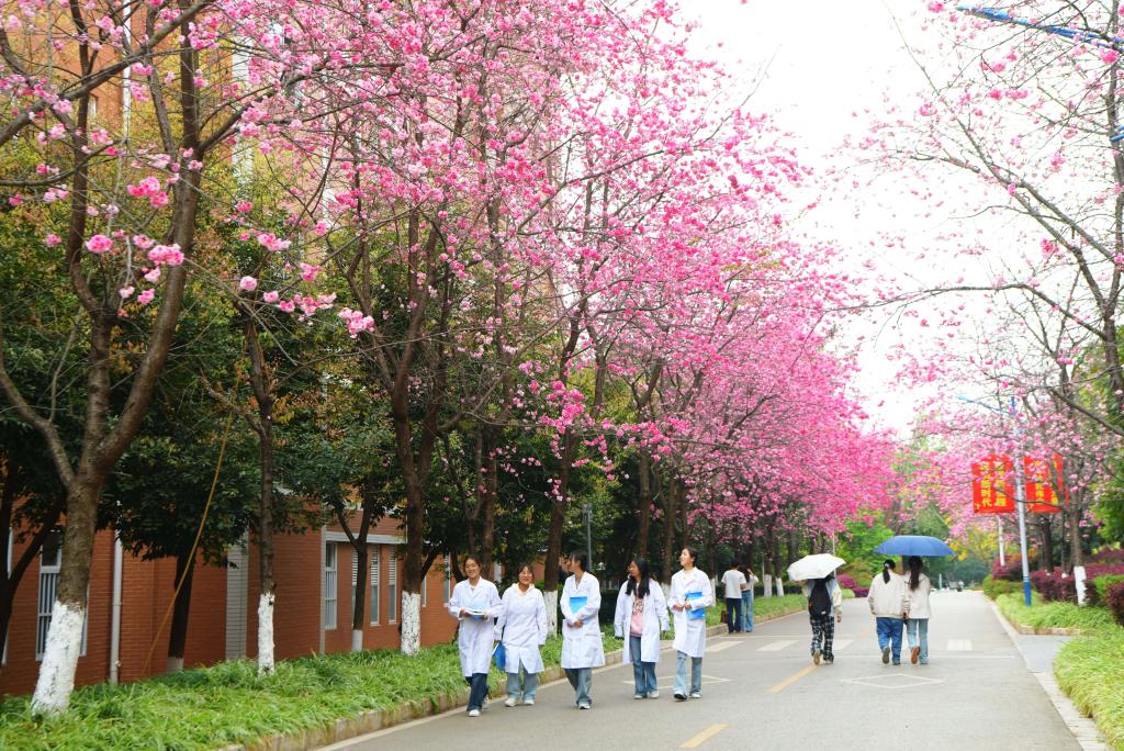 春日浪漫！邀你赴一场花事之约