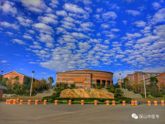 喜讯：保山中医专成为滇西片区唯一一家非技工类院校全日制公办职业技能等级评价机构